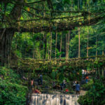 Waterfalls & Clouds Paradise in Meghalaya: The Scotland of the East