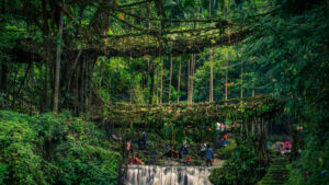 Waterfalls & Clouds Paradise in Meghalaya: The Scotland of the East