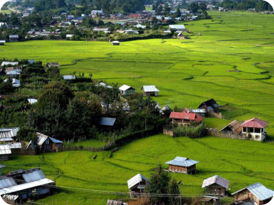Ziro Valley